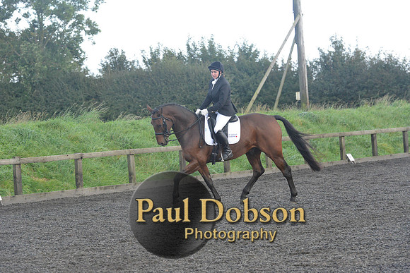 dressage-7313