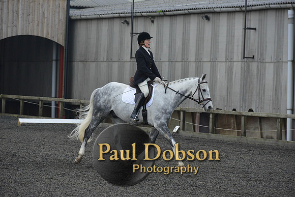 dressage-4541