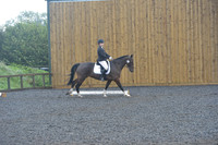 dressage-6754