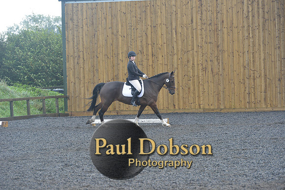 dressage-6754