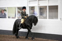Class 21-BSPS RIHS Heritage M and M Open Ridden fell, dales and