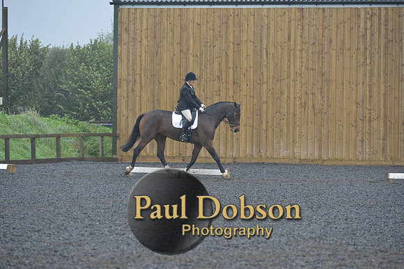 dressage-6463