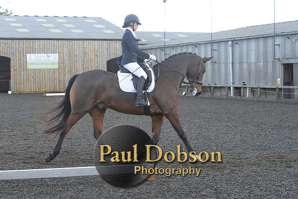 dressage-7328