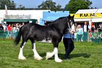 GRP_8021