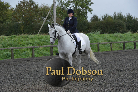 dressage-5973