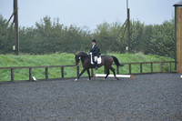 dressage-6460