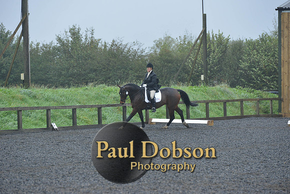 dressage-6460