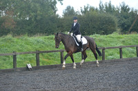 dressage-6744