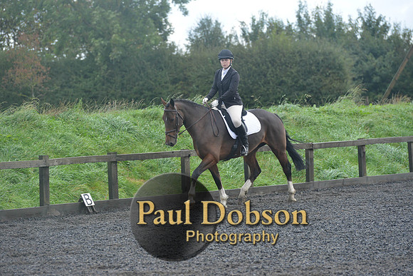 dressage-6744