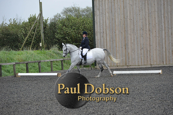 dressage-5969