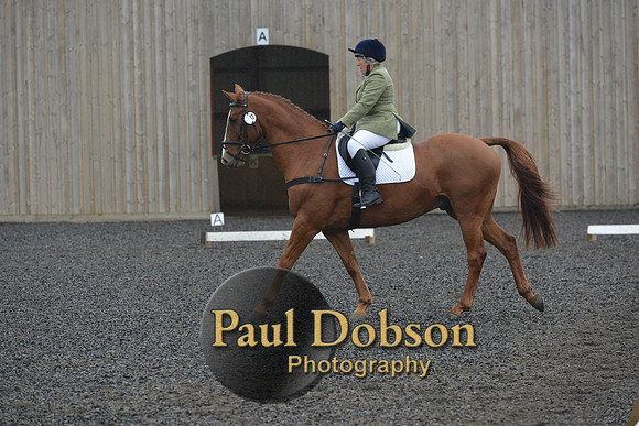 dressage-6299