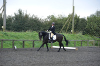 dressage-5167