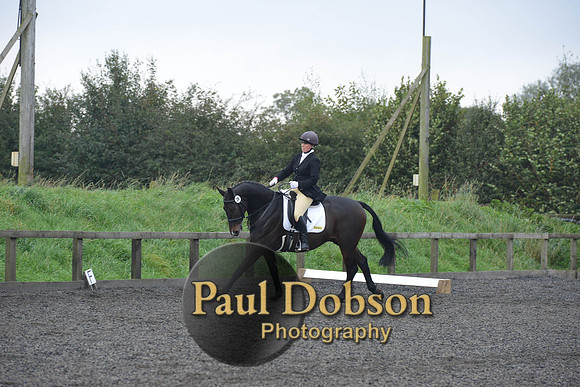 dressage-5167