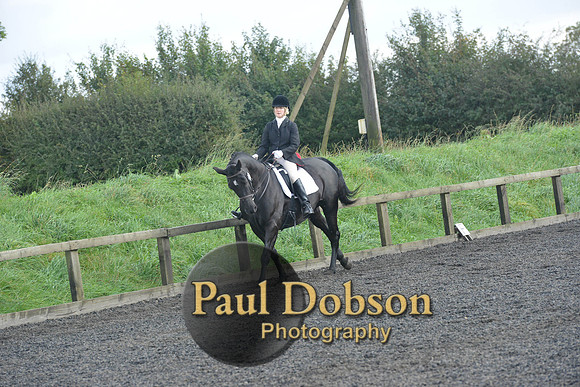 dressage-6875