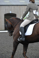dressage-4873