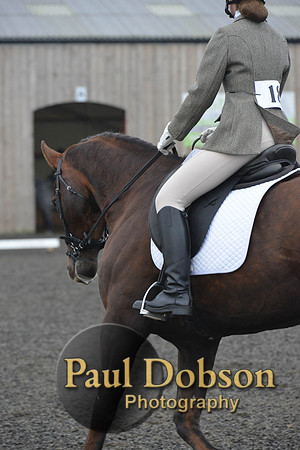 dressage-4873