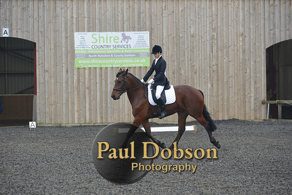 dressage-4929
