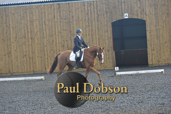 dressage-6800