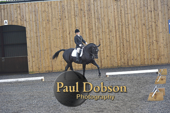 dressage-6880