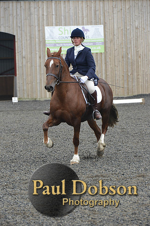 dressage-5448