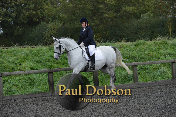 dressage-5965