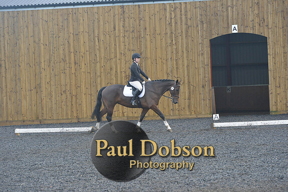 dressage-6749