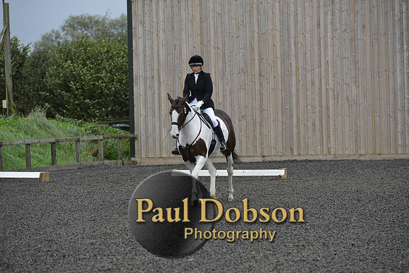 dressage-5942