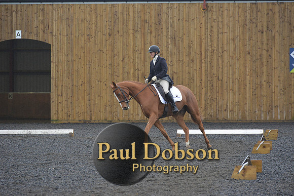 dressage-6620