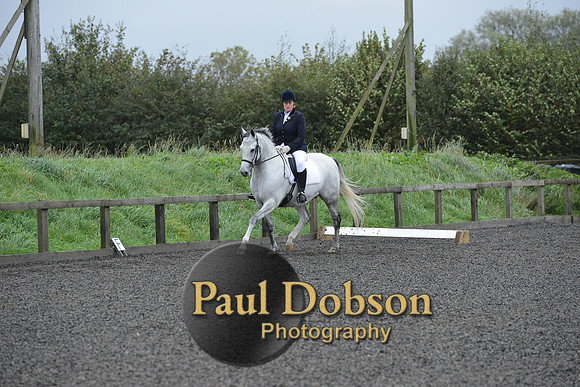 dressage-5951