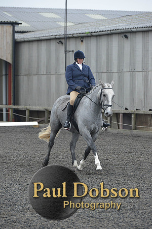 dressage-4923