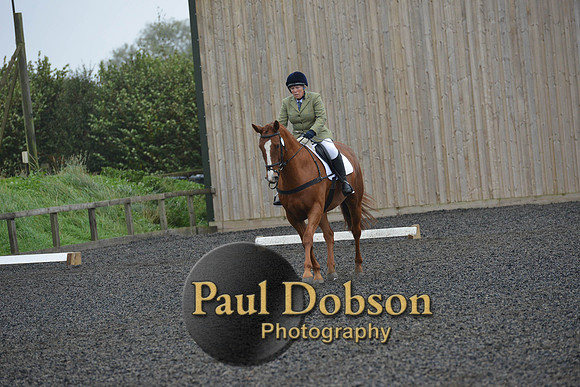 dressage-6311