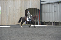 dressage-4876