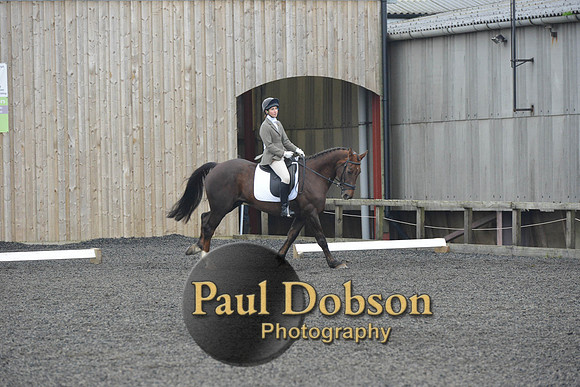 dressage-4876