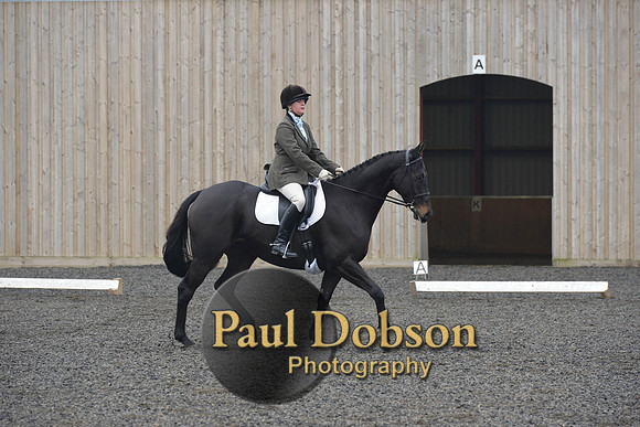 dressage-5209