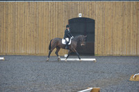 dressage-6465