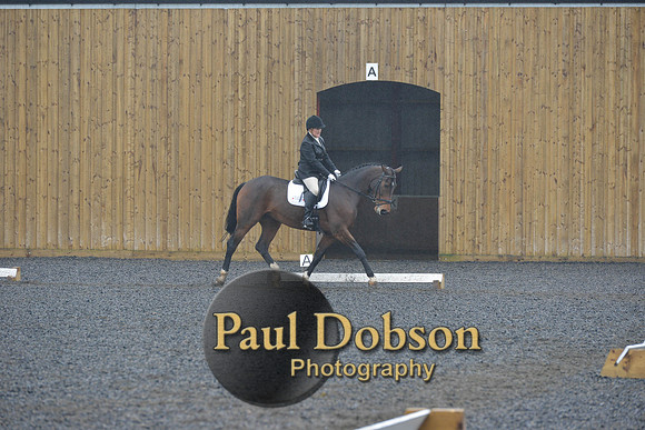 dressage-6465