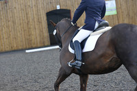 dressage-6862