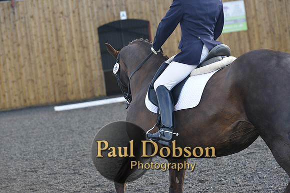 dressage-6862