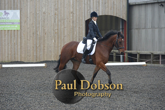 dressage-4933