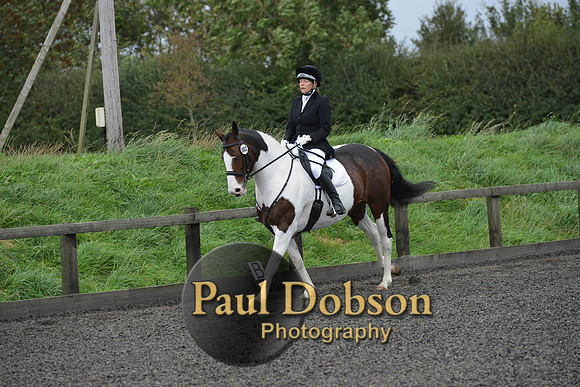 dressage-5940