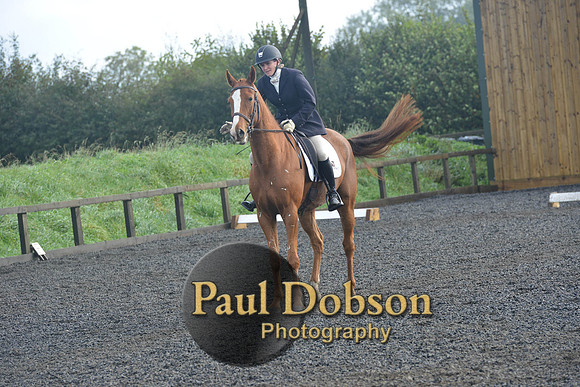 dressage-6805