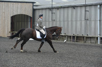 dressage-4880