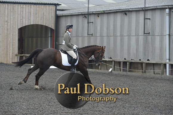 dressage-4880