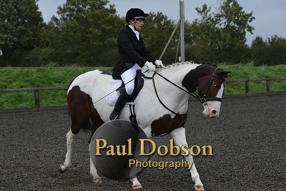 dressage-5941