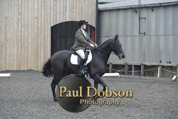 dressage-5465