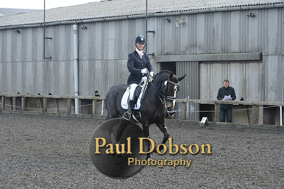 dressage-7277
