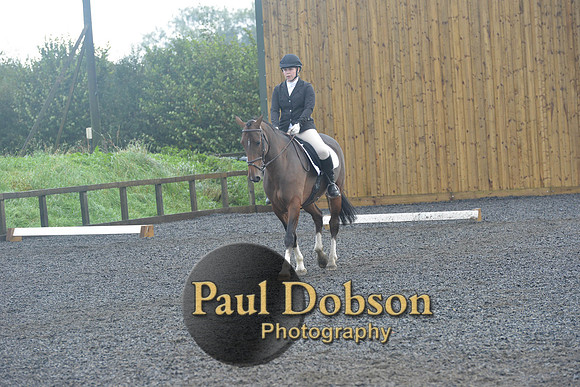 dressage-6767