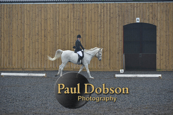 dressage-6483