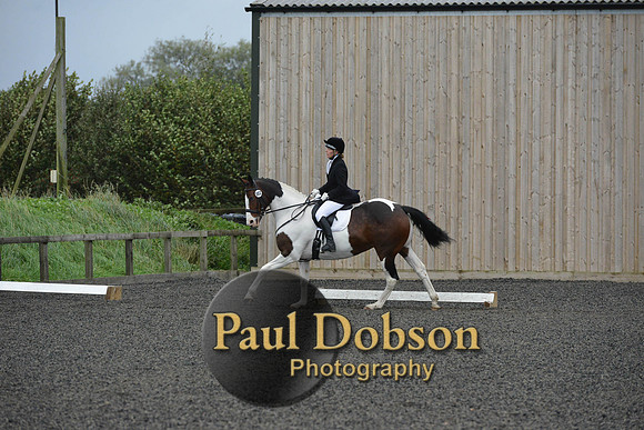 dressage-5939