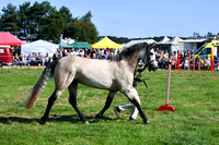 c11_1283